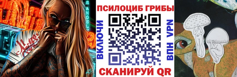 ОМГ ОМГ онион  Киров  Псилоцибиновые грибы Cubensis  дарнет шоп 