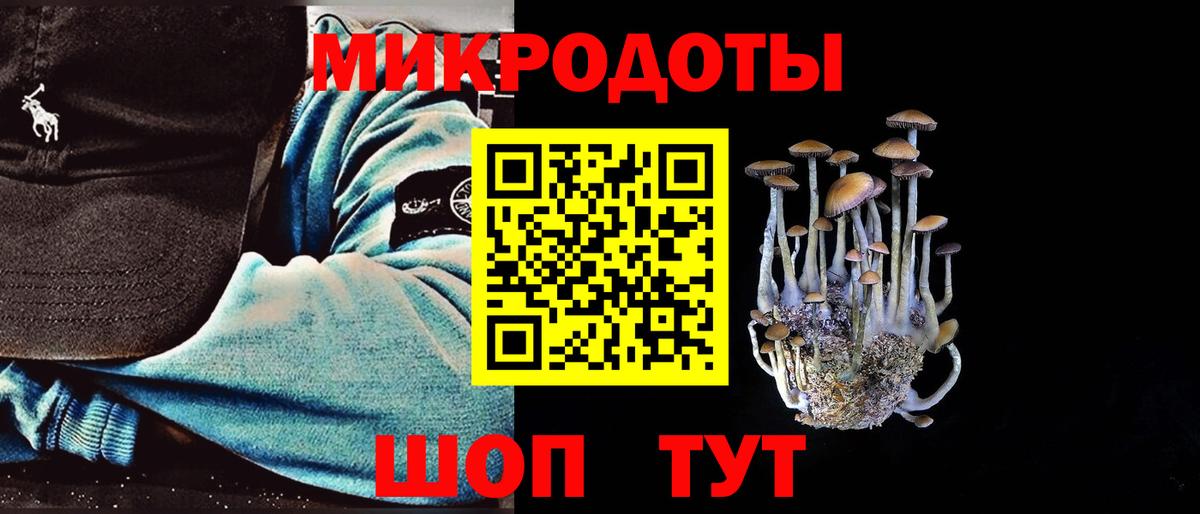 Киров  Галлюциногенные грибы GOLDEN TEACHER  Галлюциногенные грибы Psilocybine cubensis  Вход с VPN 